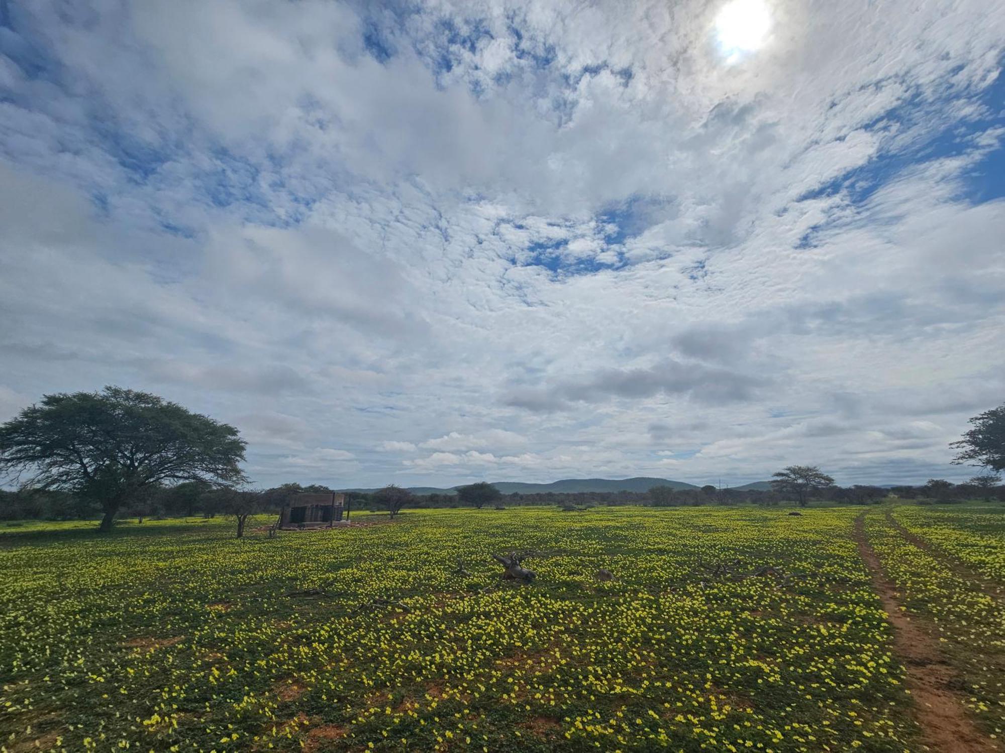 Kaoko Bush Lodge Kamanjab Exteriér fotografie